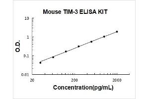 Hepatitis A Virus Cellular Receptor 2 (TIM 3) ELISA Kit