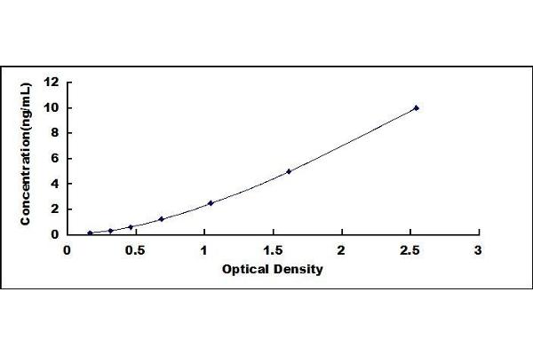 DLL4 ELISA Kit