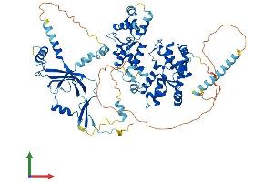 AlphaFold protein structure predicition of Human Recombinant POLR3E Protein, UniprotID Q9NVU0 (POLR3E Protein (AA 1-708) (His tag))