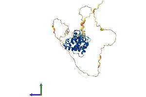 AlphaFold protein structure predicition of Human Recombinant PRR5 Protein, UniprotID P85299