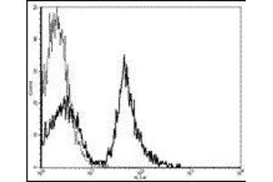 Image no. 1 for anti-CD19 Molecule (CD19) antibody (FITC) (ABIN474119) (CD19 antibody  (FITC))