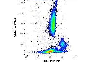 Flow cytometry intracellular staining pattern of human peripheral whole blood stained using anti-SCIMP (NVL-07) PE antibody (10 μL reagent / 100 μL of peripheral whole blood). (SCIMP antibody  (PE))