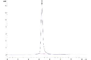 The purity of Human ROR2 is greater than 95 % as determined by SEC-HPLC. (ROR2 Protein (AA 34-403) (His-Avi Tag))