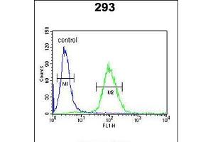 Flow cytometric analysis of 293 cells (right histogram) compared to a negative control cell (left histogram). (DPP8 antibody  (C-Term))