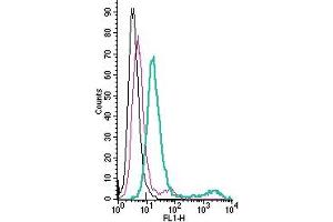 Cell surface detection of Histamine H1 Receptor by direct flow cytometry in live intact mouse P815 mastocytoma cells: + Rabbit IgG Isotype Control-FITC (ABIN7582044).