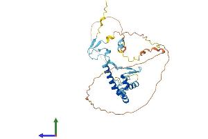 AlphaFold protein structure predicition of Human Recombinant SPRY2 Protein, UniprotID O43597 (SPRY2 Protein (AA 1-315) (His tag))