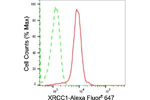 Flow cytometric analysis of XRCC1 expression in HepG2 cells using XRCC1 antibody (ABIN7800874), 1:2,000).