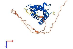 Protein Structure (PS) image for Ubiquitin Specific Peptidase 17-Like Family Member 23 (USP17L23) (AA 1-183) protein (His tag) (ABIN7544915)