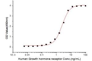 Growth Hormone Receptor (GHR) (AA 27-264) (Active) protein (His-Fc tag)