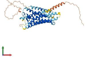 AlphaFold protein structure predicition of Human Recombinant PTGER3 Protein, UniprotID P43115