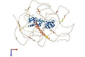 AlphaFold protein structure predicition of Human Recombinant ZMIZ2 Protein, UniprotID Q8NF64 (ZMIZ2 Protein (AA 1-920) (His tag))