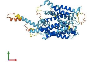 AlphaFold protein structure predicition of Human Recombinant TMEM104 Protein, UniprotID Q8NE00 (TMEM104 Protein (AA 1-496) (His tag))