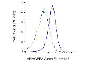 Validation of ARHGEF2 knockdown using flow cytometry. (Recombinant ARHGEF2 antibody)