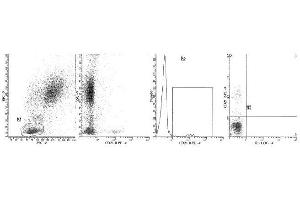 Image no. 1 for anti-Complement Component (3d/Epstein Barr Virus) Receptor 2 (CR2) antibody (PE) (ABIN1106067) (CD21 antibody  (PE))