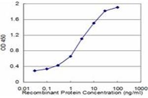 Detection limit for recombinant GST tagged EPB41L1 is approximately 0. (EPB41L1 antibody  (AA 1-88))
