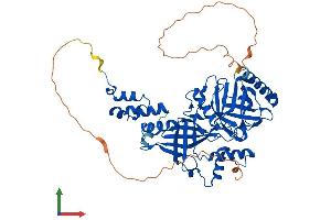 Protein Structure (PS) image for F-Box Protein 31 (FBXO31) (AA 1-539) protein (His tag) (ABIN7547697)