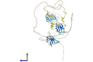 AlphaFold protein structure predicition of Mouse Recombinant Myef2 Protein, UniprotID Q8C854