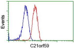 Flow cytometric Analysis of Jurkat cells, using anti-C21orf59 antibody (ABIN2453835), (Red), compared to a nonspecific negative control antibody, (Blue). (C21orf59 antibody)
