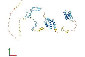 AlphaFold protein structure predicition of Human Recombinant CD2BP2 Protein, UniprotID O95400