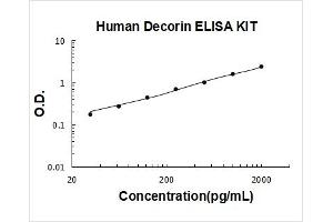 Decorin (DCN) ELISA Kit