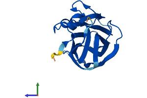 AlphaFold protein structure predicition of Human Recombinant IFT25 Protein, UniprotID Q9Y547