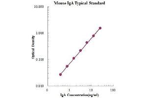 ELISA image for IgA ELISA Kit (ABIN3198433)