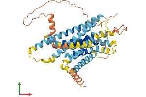 AlphaFold protein structure predicition of Human Recombinant VN1R2 Protein, UniprotID Q8NFZ6 (VN1R2 Protein (AA 1-395) (His tag))