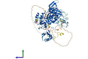 AlphaFold protein structure predicition of Human Recombinant UHRF2 Protein, UniprotID Q96PU4 (UHRF2 Protein (AA 1-802) (His tag))