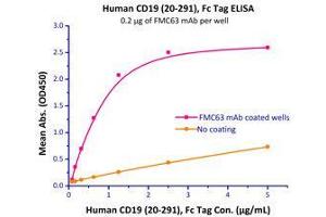 Immobilized FMC63 mAb at 2 μg/mL (100 μL/well) can bind Human CD19 (20-291), Fc Tag (Cat# CD9-H5259 ) with a linear range of 0. (CD19 Protein (AA 20-291) (Fc Tag))