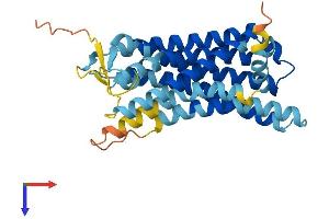 Olfactory Receptor, Family 13, Subfamily C, Member 9 (OR13C9) (AA 1-318) protein (His tag)