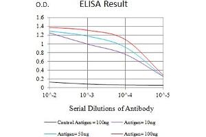 Black line: Control Antigen (100 ng),Purple line: Antigen (10 ng), Blue line: Antigen (50 ng), Red line:Antigen (100 ng) (CD46 antibody  (AA 35-179))