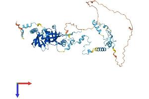 AlphaFold protein structure predicition of Human Recombinant TSEN54 Protein, UniprotID Q7Z6J9 (TSEN54 Protein (AA 1-526) (His tag))