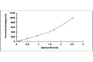 Typical standard curve (Epiregulin ELISA Kit)
