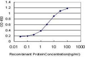 Detection limit for recombinant GST tagged EVI2B is approximately 0. (EVI2B antibody  (AA 23-121))