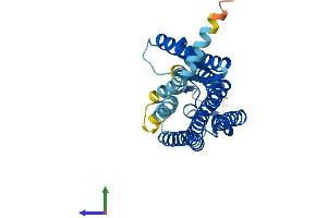 AlphaFold protein structure predicition of Human Recombinant OR10G7 Protein, UniprotID Q8NGN6 (OR10G7 Protein (AA 1-311) (His tag))