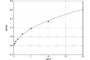 Kinesin Family Member 5A (KIF5A) ELISA Kit