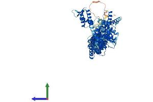 AlphaFold protein structure predicition of Mouse Recombinant Cul1 Protein, UniprotID Q9WTX6 (Cullin 1 Protein (CUL1) (AA 1-776) (His tag))