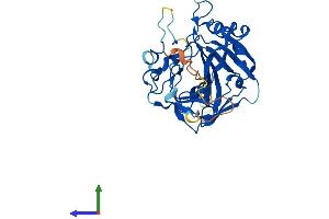 AlphaFold protein structure predicition of Human Recombinant CA10 Protein, UniprotID Q9NS85 (CA10 Protein (AA 1-328) (His tag))