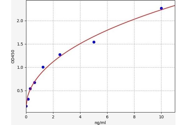 HNRNPA2B1 ELISA Kit