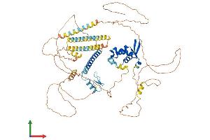 AlphaFold protein structure predicition of Human Recombinant FOXP1 Protein, UniprotID Q9H334 (FOXP1 Protein (AA 1-677) (His tag))