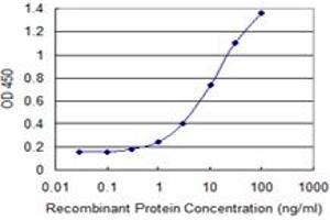 Detection limit for recombinant GST tagged C1D is 0. (C1D antibody  (AA 1-141))