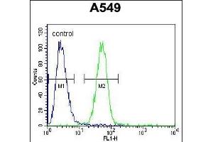 Flow Cytometry (FACS) image for anti-Ring Finger and WD Repeat Domain 2, E3 Ubiquitin Protein Ligase (RFWD2) (AA 37-65), (N-Term) antibody (ABIN655275)