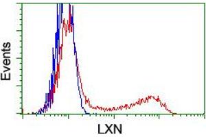 HEK293T cells transfected with either RC202769 overexpress plasmid (Red) or empty vector control plasmid (Blue) were immunostained by anti-LXN antibody (ABIN2455184), and then analyzed by flow cytometry. (Latexin antibody)