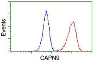 Image no. 5 for anti-Calpain 9 (CAPN9) antibody (ABIN1497090) (Calpain 9 antibody)