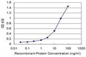Detection limit for recombinant GST tagged GTF3A is approximately 0. (GTF3A antibody  (AA 185-274))
