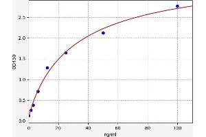 Myoglobin (MB) ELISA Kit