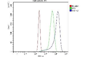 Flow Cytometry analysis of U20S cells using anti-FGFR2 antibody (ABIN7600702).
