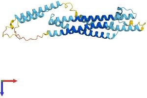 Protein Structure (PS) image for Syntaxin 11 (STX11) (AA 1-287) protein (His tag) (ABIN7544040)