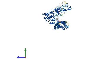 Protein Structure (PS) image for FER Tyrosine Kinase (FER) (AA 1-823) protein (His tag) (ABIN7563530)