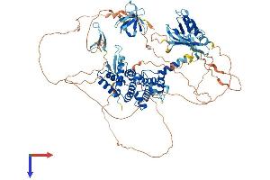 AlphaFold protein structure predicition of Mouse Recombinant Arhgap27 Protein, UniprotID A2AB59 (ARHGAP27 Protein (AA 1-869) (His tag))
